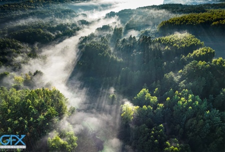 عکس جنگل مه‌آلود با ابرهای پایین و چشم‌انداز طبیعی زیبا