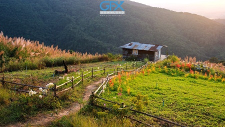 عکس منظره طبیعت و کلبه