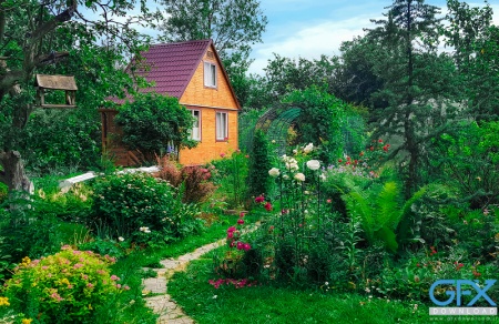 عکس منظره طبیعی با یک کلبه چوبی در میان طبیعت بکر و آرام