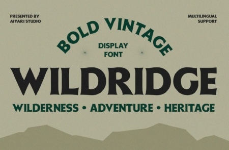 فونت‌های کلاسیک جذاب با حال‌و‌هوای قدیمی برای پروژه‌های گرافیکی