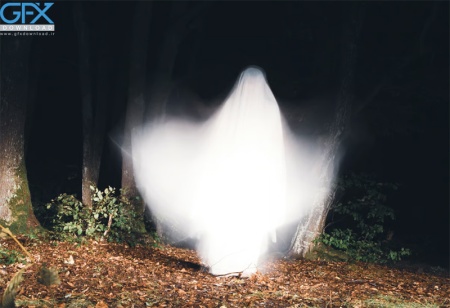 تصویر روح واقعی در جنگل مناسب چاپ