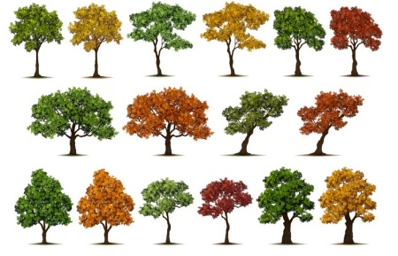 دانلود وکتور درخت های بهاری برای طراحی