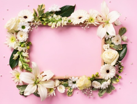 فریم گل طبیعی برای طراحی حرفه‌ای