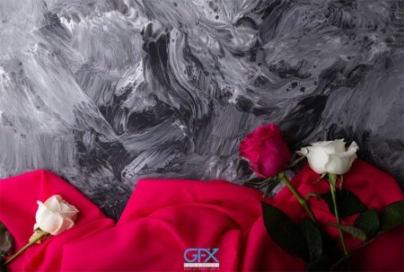 تصویر زمینه گل رز زیبا