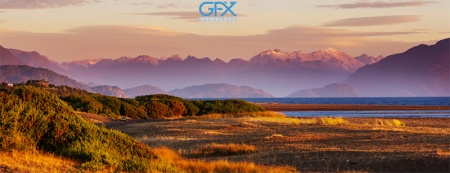 تصویر استوک منظره طبیعی علفزار با کیفیت بالا
