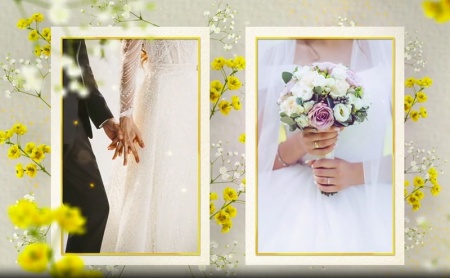 دانلود پروژه افتر افکت اسلایدشو رمانتیک برای عکس‌های عروسی Wedding Slideshow